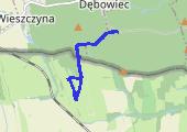 Kapliczka pod Długotą - mapa trasy gps - marsz