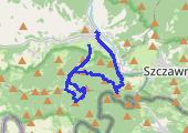 Trasa z dnia 2020-11-09 09:40 - mapa trasy gps - marsz