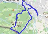 Trasa z dnia 2020-11-11 12:57 - mapa trasy gps - marsz