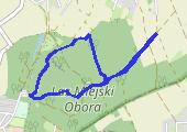 Trasa z dnia 2020-11-11 14:34 - mapa trasy gps - marsz