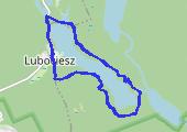 Lubociesz - wokół jeziora Lubie - mapa trasy gps - marsz