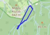 Trasa z dnia 2020-11-15 14:22 - mapa trasy gps - spacer