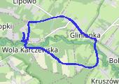 Trasa z dnia 2020-11-18 02:36 - mapa trasy gps - bieganie