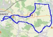 Trasa z dnia 2020-11-19 11:10 - mapa trasy gps - rower górski