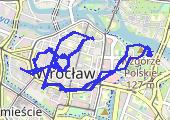 Trasa z dnia 2013-08-11 08:43 - mapa trasy gps - spacer