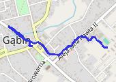 Trasa z dnia 2020-11-23 06:22 - mapa trasy gps - marsz