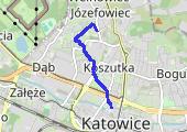 Trasa z dnia 2020-11-23 18:09 - mapa trasy gps - marsz