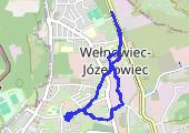 Trasa z dnia 2020-11-26 20:21 - mapa trasy gps - marsz