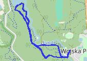 Trasa z dnia 2020-12-13 11:32 - mapa trasy gps - marsz