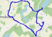 Z Andzią i Wojtkiem 2020-12-12 15:55 - mapa trasy gps - spacer