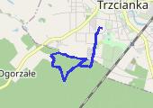 Trasa z dnia 2020-12-21 16:53 - mapa trasy gps - bieganie