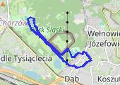 Trasa z dnia 2020-12-19 21:28 - mapa trasy gps - marsz