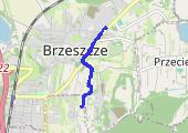 Trasa z dnia 2021-01-03 10:34 - mapa trasy gps - spacer