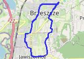 Trasa z dnia 2021-01-06 11:51 - mapa trasy gps - spacer