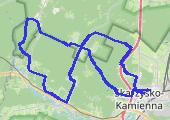 Trasa z dnia 2021-01-10 12:53 - mapa trasy gps - rower szosowy