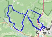Trasa z dnia 2021-01-10 14:12 - mapa trasy gps - rower szosowy