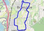 Trasa z dnia 2021-01-17 12:53 - mapa trasy gps - spacer