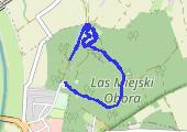 Trasa z dnia 2021-01-17 15:22 - mapa trasy gps - marsz