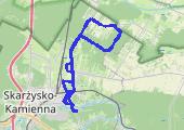 Trasa z dnia 2021-01-18 14:07 - mapa trasy gps - rower szosowy