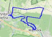 Trasa z dnia 2021-01-19 14:57 - mapa trasy gps - rower szosowy