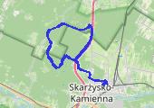 Trasa z dnia 2021-01-19 15:03 - mapa trasy gps - rower szosowy