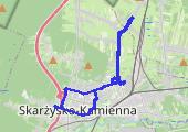 Trasa z dnia 2021-01-20 10:11 - mapa trasy gps - rower szosowy