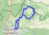 Trasa z dnia 2021-01-20 15:37 - mapa trasy gps - rower szosowy