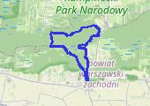 Trasa z dnia 2021-01-21 16:09 - mapa trasy gps - marsz