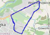 Ostrołęka 2021-01-23 21:27 - mapa trasy gps - bieganie