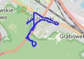 Trasa z dnia 2021-01-24 12:28 - mapa trasy gps - marsz
