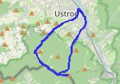 activity_6159491895 - mapa trasy gps - wędrówka