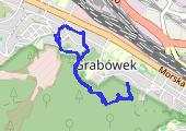 Trasa z dnia 2021-01-25 13:49 - mapa trasy gps - spacer