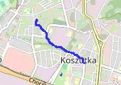 Trasa z dnia 2021-01-13 10:04 - mapa trasy gps - marsz