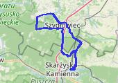 Trasa z dnia 2021-01-28 14:26 - mapa trasy gps - rower szosowy