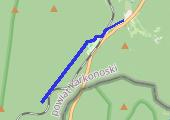 Trasa z dnia 2021-01-29 11:54 - mapa trasy gps - narty biegowe