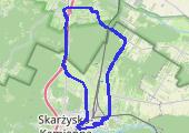 Trasa z dnia 2021-01-29 13:47 - mapa trasy gps - rower szosowy