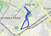 Trasa z dnia 2021-01-30 12:02 - mapa trasy gps - spacer