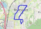 Trasa z dnia 2021-01-31 13:46 - mapa trasy gps - spacer