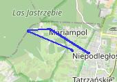 Trasa z dnia 2021-01-31 14:20 - mapa trasy gps - spacer