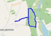 Trasa z dnia 2021-01-31 14:28 - mapa trasy gps - marsz