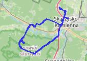 Trasa z dnia 2021-01-31 14:51 - mapa trasy gps - rower szosowy