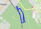 2021-01-29T17:15:05.000Z - mapa trasy gps - marsz