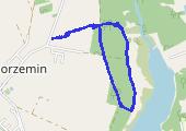 Trasa z dnia 2021-02-01 13:33 - mapa trasy gps - marsz