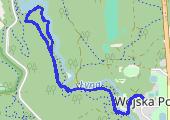Trasa z dnia 2021-01-31 11:31 - mapa trasy gps - marsz