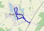 Trasa z dnia 2021-02-22 16:08 - mapa trasy gps - spacer