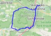 Trasa z dnia 2021-02-26 16:01 - mapa trasy gps - rower szosowy