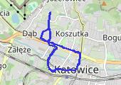 Trasa z dnia 2021-01-13 20:43 - mapa trasy gps - marsz