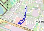 Trasa z dnia 2021-01-15 17:57 - mapa trasy gps - marsz