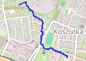 Trasa z dnia 2021-01-25 13:02 - mapa trasy gps - marsz