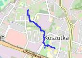 Trasa z dnia 2021-01-25 14:13 - mapa trasy gps - marsz